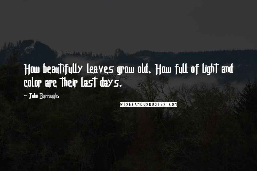 John Burroughs Quotes: How beautifully leaves grow old. How full of light and color are their last days.
