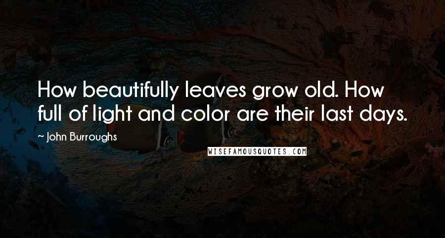 John Burroughs Quotes: How beautifully leaves grow old. How full of light and color are their last days.