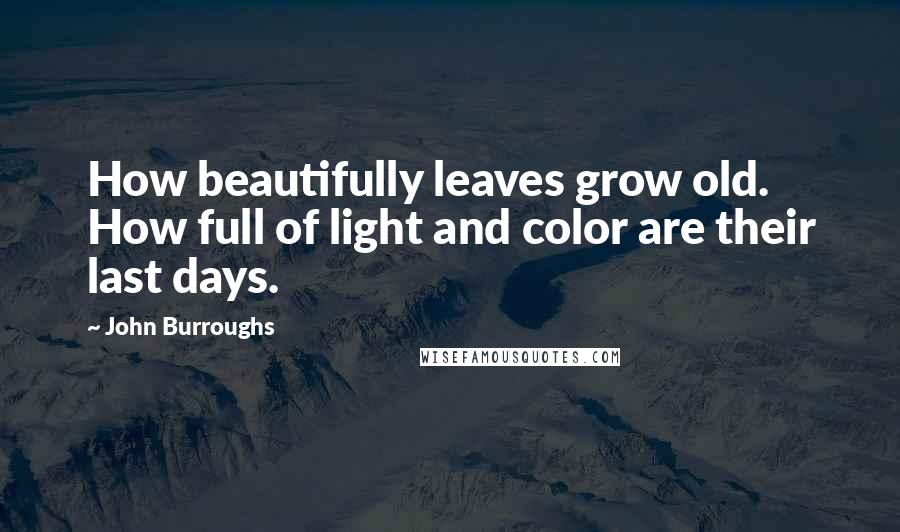 John Burroughs Quotes: How beautifully leaves grow old. How full of light and color are their last days.