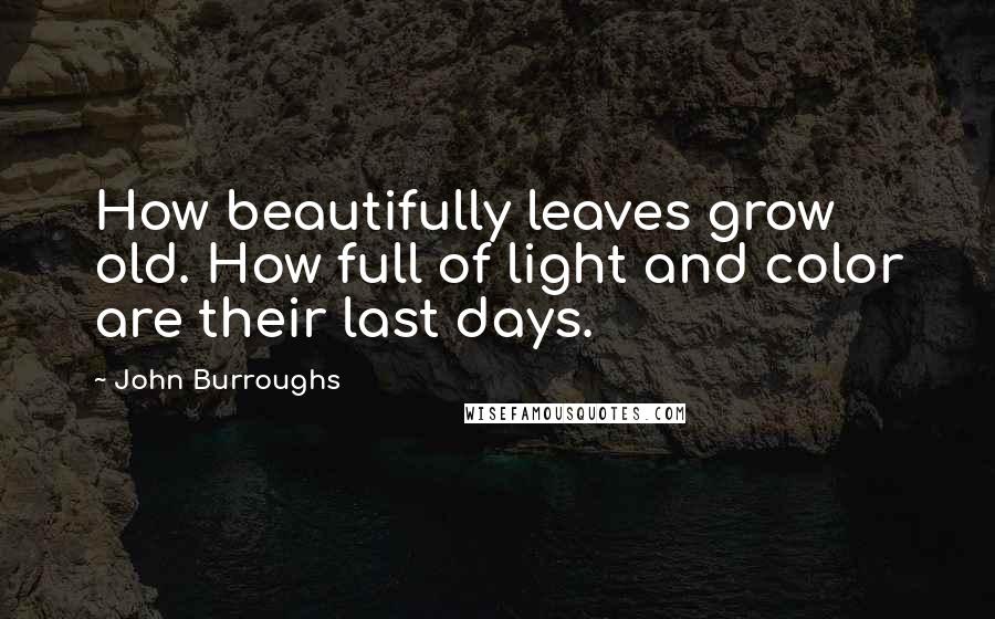 John Burroughs Quotes: How beautifully leaves grow old. How full of light and color are their last days.