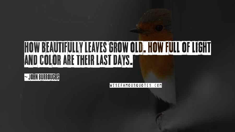 John Burroughs Quotes: How beautifully leaves grow old. How full of light and color are their last days.