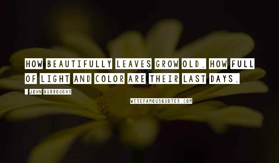 John Burroughs Quotes: How beautifully leaves grow old. How full of light and color are their last days.