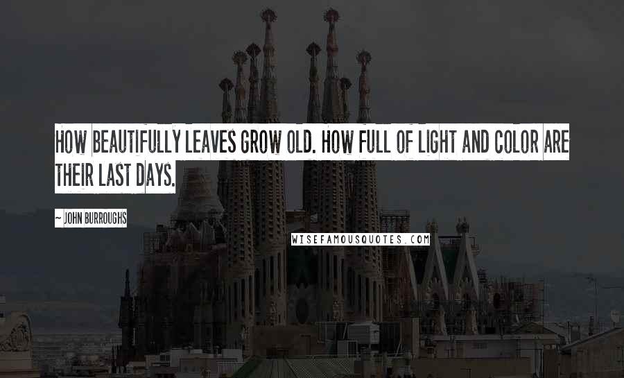 John Burroughs Quotes: How beautifully leaves grow old. How full of light and color are their last days.