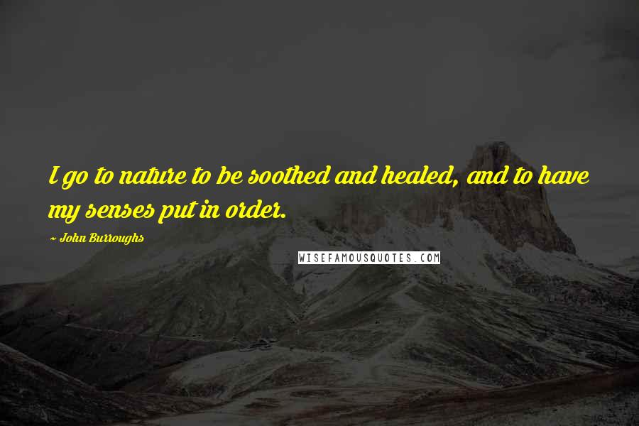 John Burroughs Quotes: I go to nature to be soothed and healed, and to have my senses put in order.