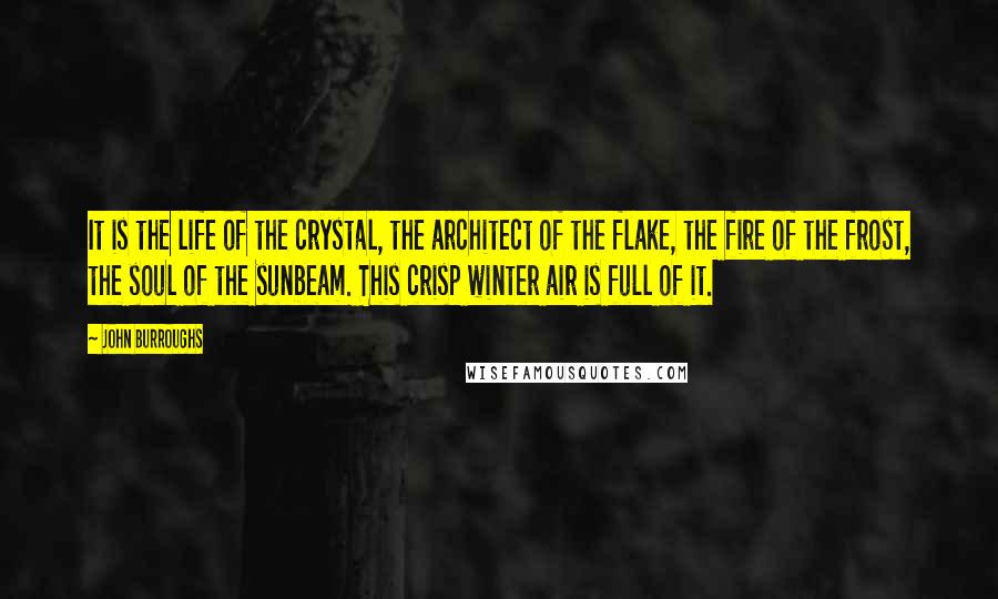 John Burroughs Quotes: It is the life of the crystal, the architect of the flake, the fire of the frost, the soul of the sunbeam. This crisp winter air is full of it.