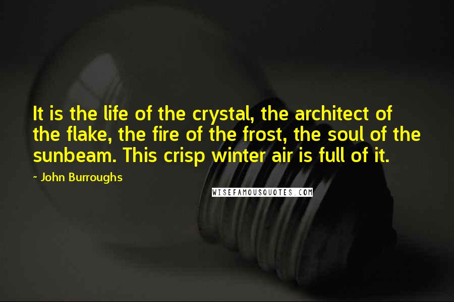 John Burroughs Quotes: It is the life of the crystal, the architect of the flake, the fire of the frost, the soul of the sunbeam. This crisp winter air is full of it.