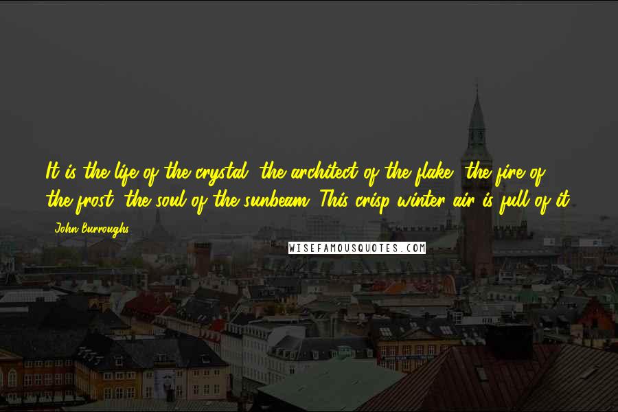 John Burroughs Quotes: It is the life of the crystal, the architect of the flake, the fire of the frost, the soul of the sunbeam. This crisp winter air is full of it.
