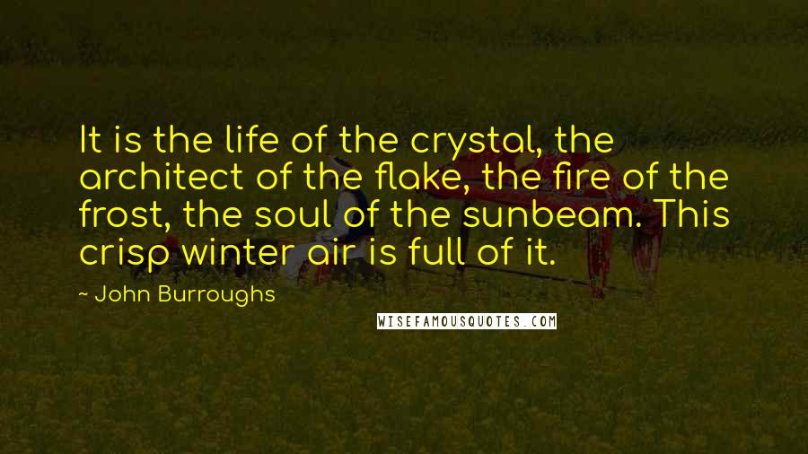 John Burroughs Quotes: It is the life of the crystal, the architect of the flake, the fire of the frost, the soul of the sunbeam. This crisp winter air is full of it.