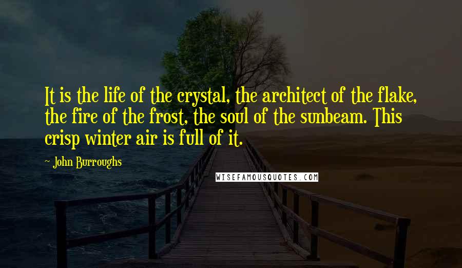 John Burroughs Quotes: It is the life of the crystal, the architect of the flake, the fire of the frost, the soul of the sunbeam. This crisp winter air is full of it.