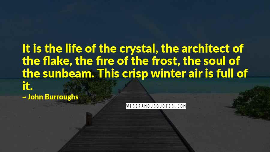John Burroughs Quotes: It is the life of the crystal, the architect of the flake, the fire of the frost, the soul of the sunbeam. This crisp winter air is full of it.