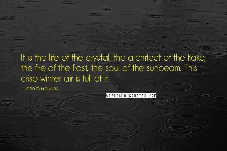John Burroughs Quotes: It is the life of the crystal, the architect of the flake, the fire of the frost, the soul of the sunbeam. This crisp winter air is full of it.