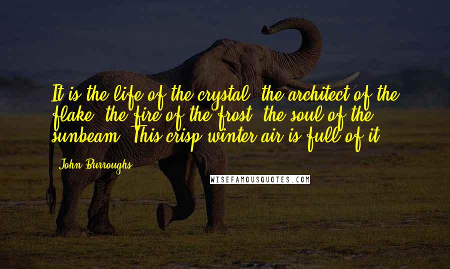 John Burroughs Quotes: It is the life of the crystal, the architect of the flake, the fire of the frost, the soul of the sunbeam. This crisp winter air is full of it.