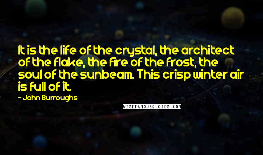 John Burroughs Quotes: It is the life of the crystal, the architect of the flake, the fire of the frost, the soul of the sunbeam. This crisp winter air is full of it.