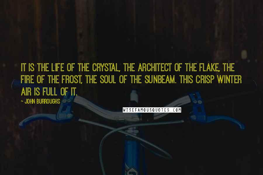 John Burroughs Quotes: It is the life of the crystal, the architect of the flake, the fire of the frost, the soul of the sunbeam. This crisp winter air is full of it.