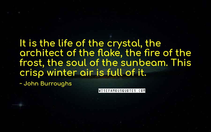 John Burroughs Quotes: It is the life of the crystal, the architect of the flake, the fire of the frost, the soul of the sunbeam. This crisp winter air is full of it.