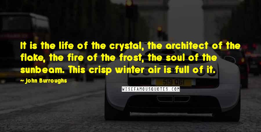 John Burroughs Quotes: It is the life of the crystal, the architect of the flake, the fire of the frost, the soul of the sunbeam. This crisp winter air is full of it.