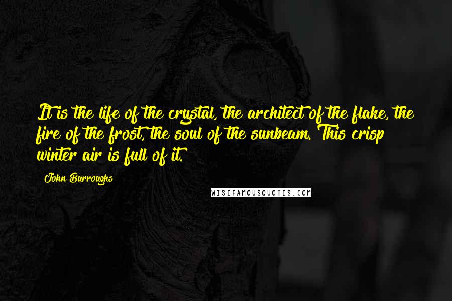John Burroughs Quotes: It is the life of the crystal, the architect of the flake, the fire of the frost, the soul of the sunbeam. This crisp winter air is full of it.