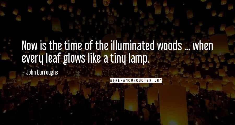 John Burroughs Quotes: Now is the time of the illuminated woods ... when every leaf glows like a tiny lamp.