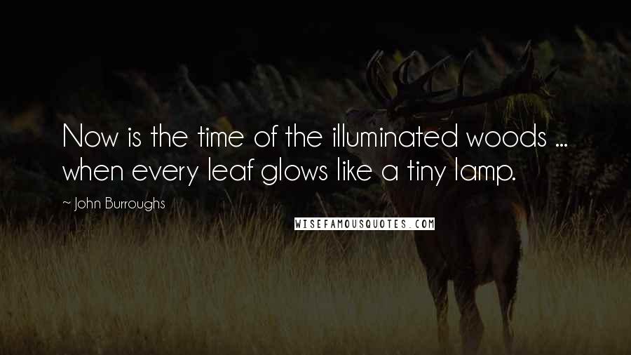 John Burroughs Quotes: Now is the time of the illuminated woods ... when every leaf glows like a tiny lamp.