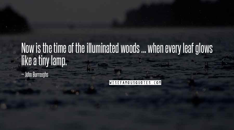 John Burroughs Quotes: Now is the time of the illuminated woods ... when every leaf glows like a tiny lamp.