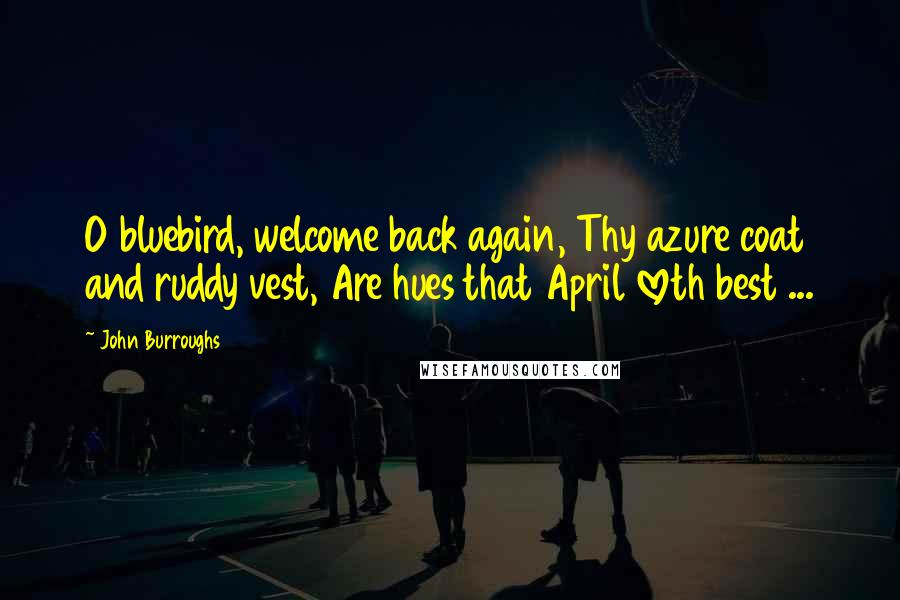 John Burroughs Quotes: O bluebird, welcome back again, Thy azure coat and ruddy vest, Are hues that April loveth best ...