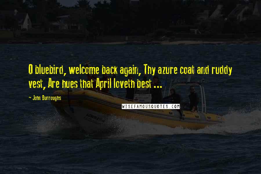 John Burroughs Quotes: O bluebird, welcome back again, Thy azure coat and ruddy vest, Are hues that April loveth best ...