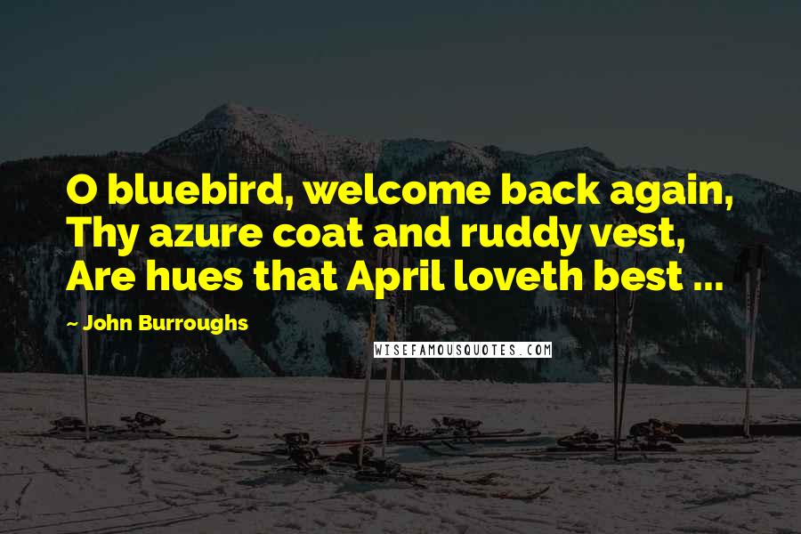 John Burroughs Quotes: O bluebird, welcome back again, Thy azure coat and ruddy vest, Are hues that April loveth best ...