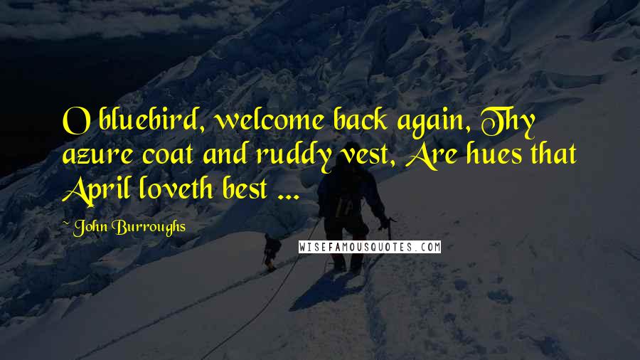 John Burroughs Quotes: O bluebird, welcome back again, Thy azure coat and ruddy vest, Are hues that April loveth best ...