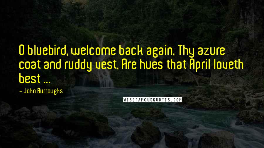 John Burroughs Quotes: O bluebird, welcome back again, Thy azure coat and ruddy vest, Are hues that April loveth best ...