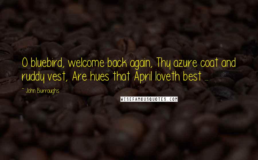 John Burroughs Quotes: O bluebird, welcome back again, Thy azure coat and ruddy vest, Are hues that April loveth best ...