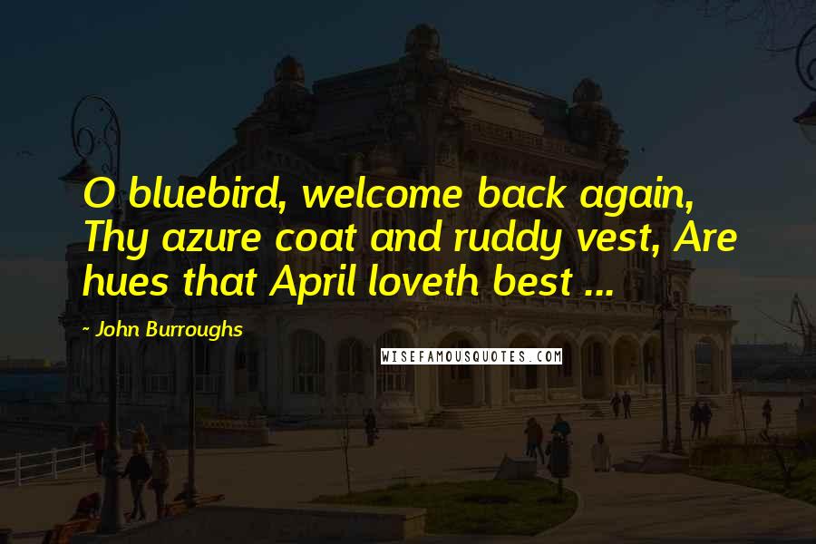 John Burroughs Quotes: O bluebird, welcome back again, Thy azure coat and ruddy vest, Are hues that April loveth best ...