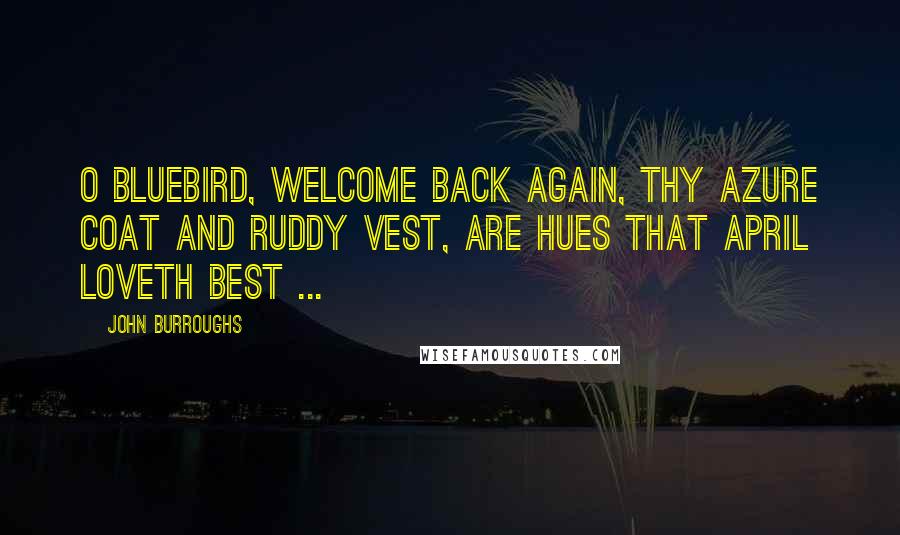 John Burroughs Quotes: O bluebird, welcome back again, Thy azure coat and ruddy vest, Are hues that April loveth best ...