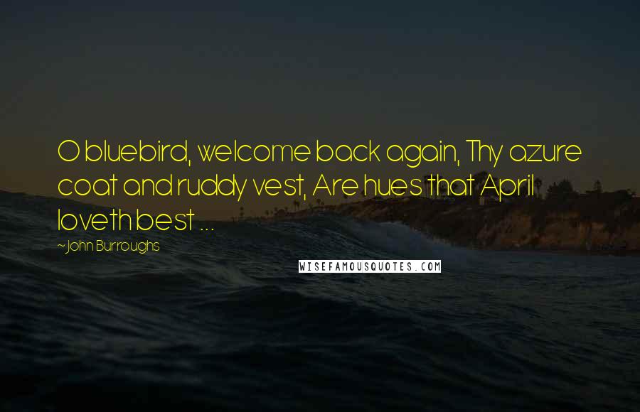 John Burroughs Quotes: O bluebird, welcome back again, Thy azure coat and ruddy vest, Are hues that April loveth best ...