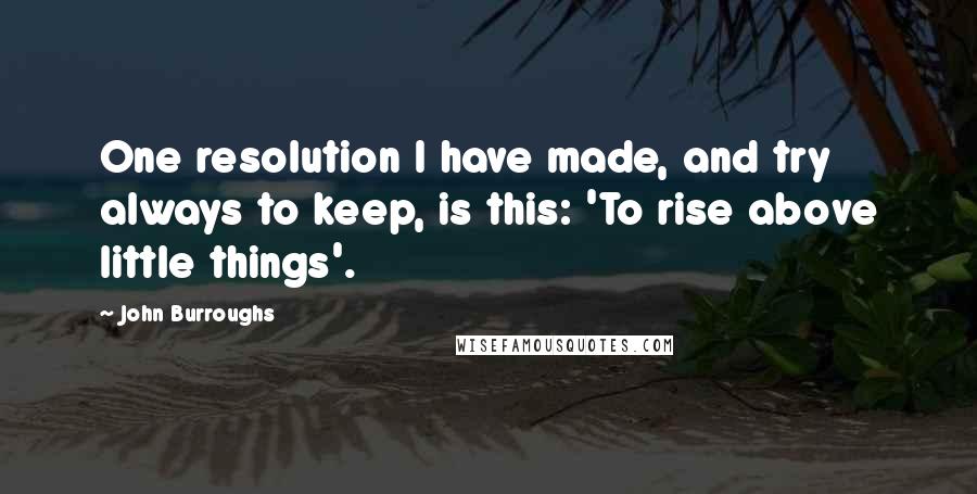 John Burroughs Quotes: One resolution I have made, and try always to keep, is this: 'To rise above little things'.