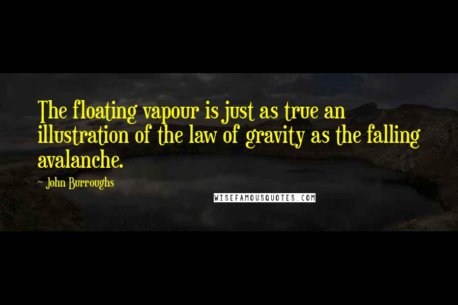 John Burroughs Quotes: The floating vapour is just as true an illustration of the law of gravity as the falling avalanche.