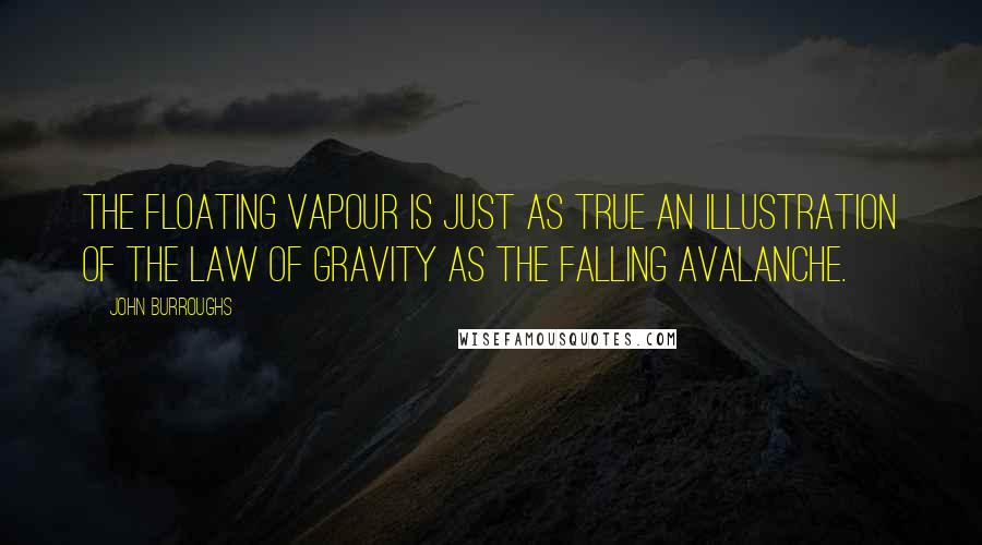 John Burroughs Quotes: The floating vapour is just as true an illustration of the law of gravity as the falling avalanche.