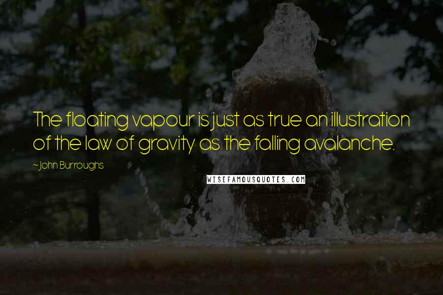 John Burroughs Quotes: The floating vapour is just as true an illustration of the law of gravity as the falling avalanche.