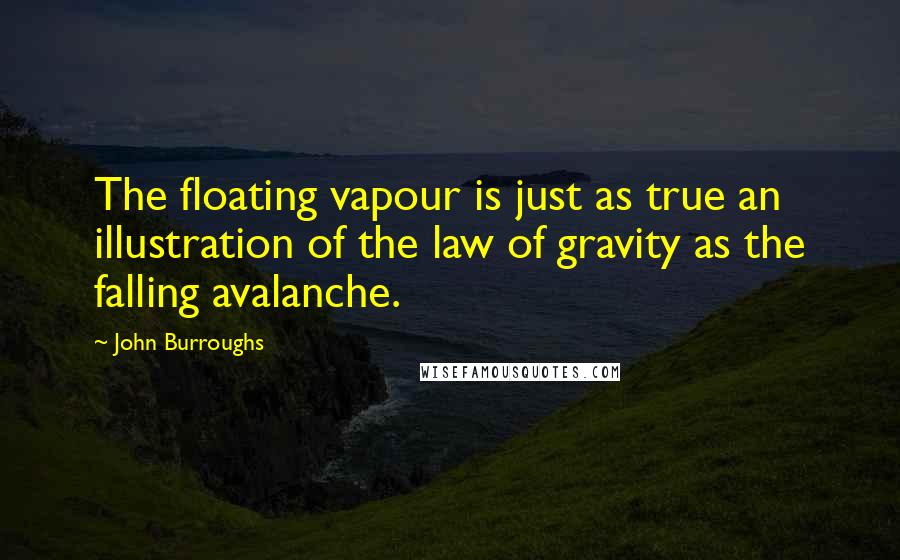 John Burroughs Quotes: The floating vapour is just as true an illustration of the law of gravity as the falling avalanche.