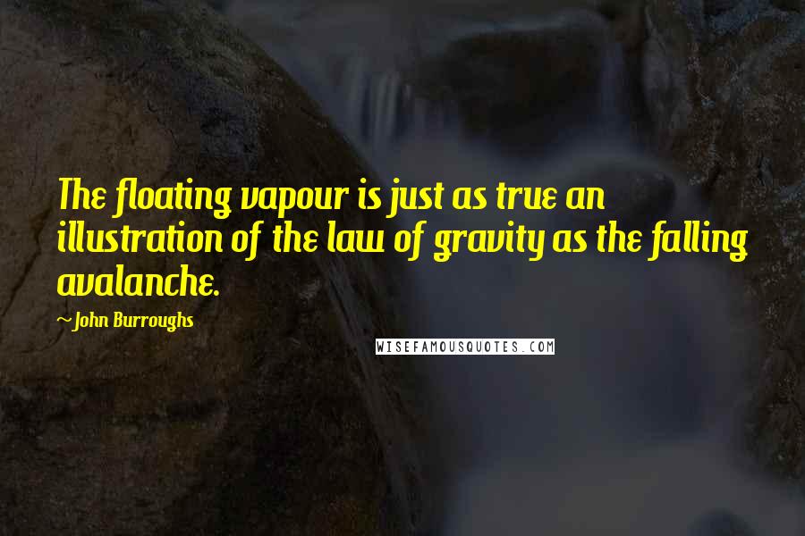 John Burroughs Quotes: The floating vapour is just as true an illustration of the law of gravity as the falling avalanche.