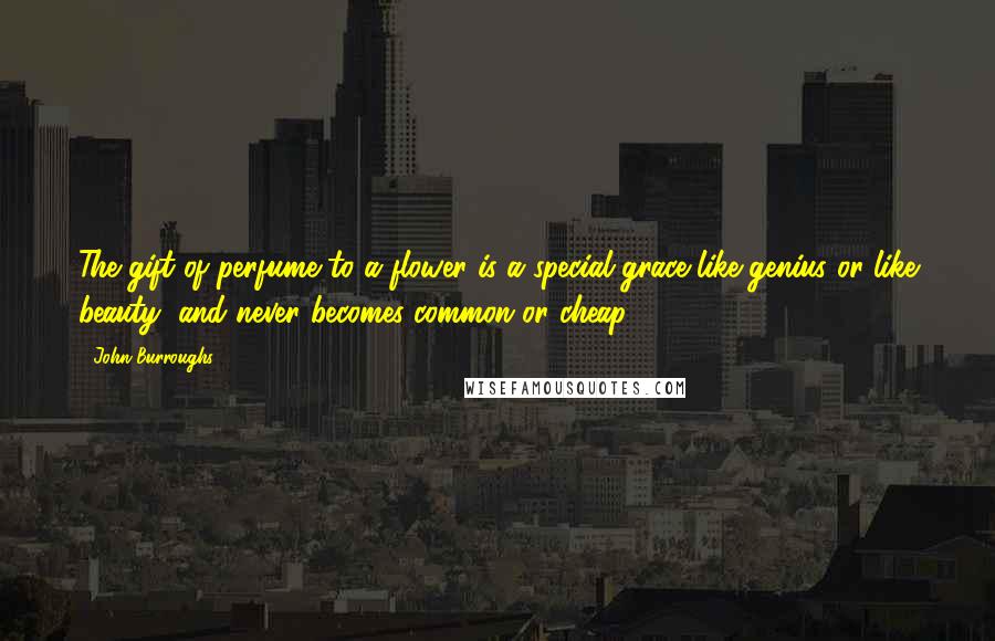 John Burroughs Quotes: The gift of perfume to a flower is a special grace like genius or like beauty, and never becomes common or cheap.