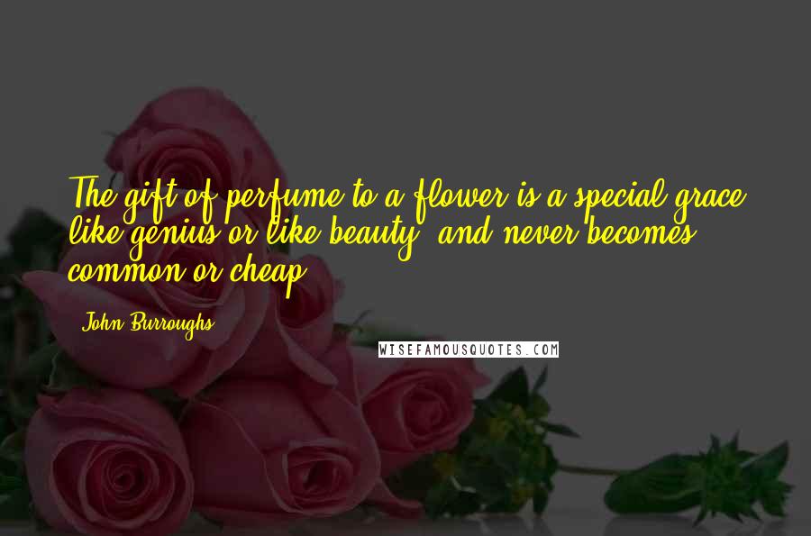 John Burroughs Quotes: The gift of perfume to a flower is a special grace like genius or like beauty, and never becomes common or cheap.