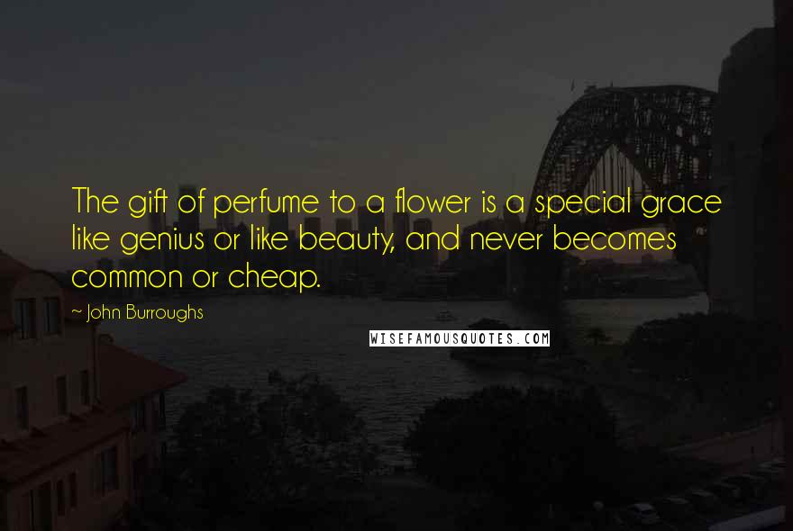 John Burroughs Quotes: The gift of perfume to a flower is a special grace like genius or like beauty, and never becomes common or cheap.