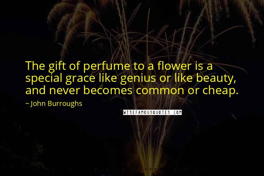 John Burroughs Quotes: The gift of perfume to a flower is a special grace like genius or like beauty, and never becomes common or cheap.