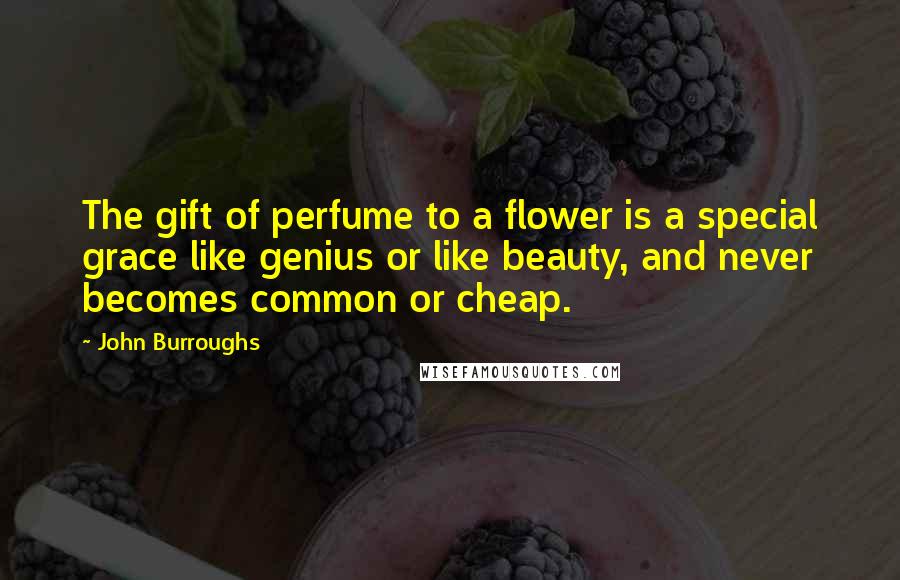 John Burroughs Quotes: The gift of perfume to a flower is a special grace like genius or like beauty, and never becomes common or cheap.