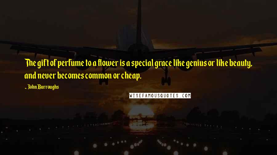 John Burroughs Quotes: The gift of perfume to a flower is a special grace like genius or like beauty, and never becomes common or cheap.