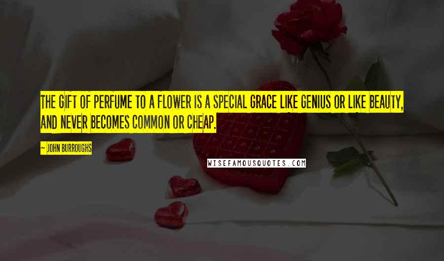 John Burroughs Quotes: The gift of perfume to a flower is a special grace like genius or like beauty, and never becomes common or cheap.