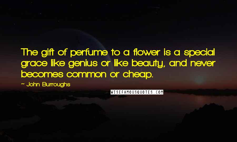 John Burroughs Quotes: The gift of perfume to a flower is a special grace like genius or like beauty, and never becomes common or cheap.