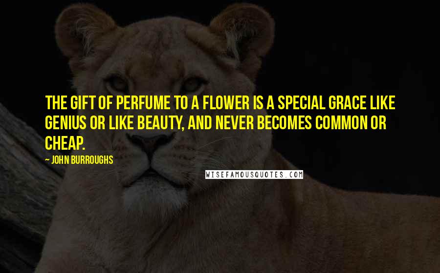 John Burroughs Quotes: The gift of perfume to a flower is a special grace like genius or like beauty, and never becomes common or cheap.