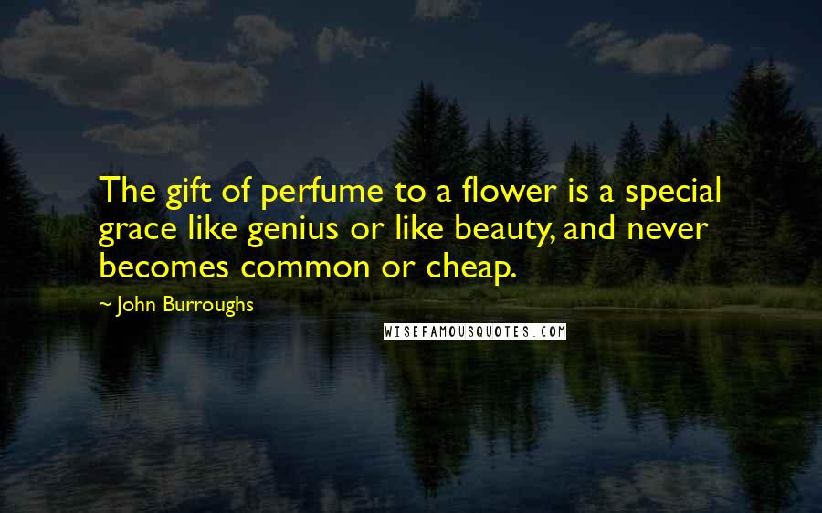 John Burroughs Quotes: The gift of perfume to a flower is a special grace like genius or like beauty, and never becomes common or cheap.