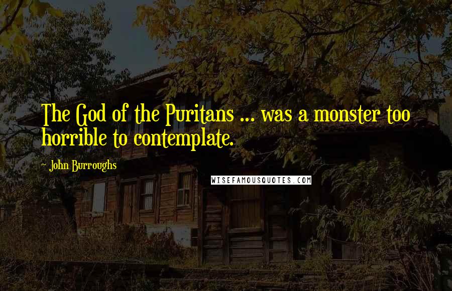 John Burroughs Quotes: The God of the Puritans ... was a monster too horrible to contemplate.